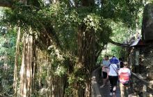 Zdjęcia z wyprawy na Komodo i Bali