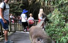 Zdjęcia z wyprawy na Komodo i Bali