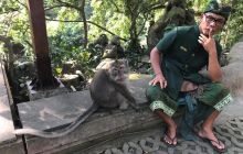 Zdjęcia z wyprawy na Komodo i Bali