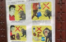 Zdjęcia z wyprawy na Komodo i Bali