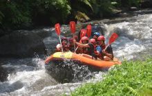 Zdjęcia z wyprawy na Komodo i Bali