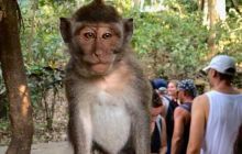 Zdjęcia z wyprawy na Komodo i Bali