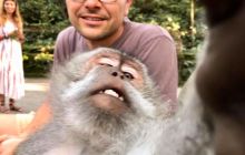 Zdjęcia z wyprawy na Komodo i Bali