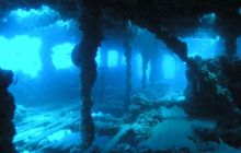 Nurkowanie na Baron Gautsch - Chorwacja