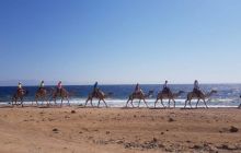 Zdjęcia z wyjazdu do Dahab