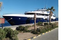 Safari nurkowe - Fury Shoals