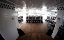 Safari nurkowe - Fury Shoals