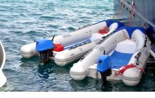 Safari nurkowe - Fury Shoals