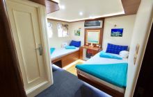 Safari nurkowe - Fury Shoals