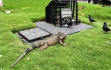 Zdjęcia z Galapagos 