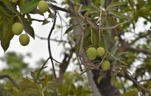 Zdjęcia z Galapagos 