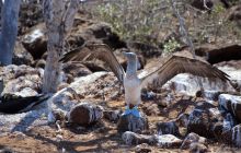 Zdjęcia z Galapagos 