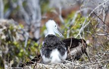 Zdjęcia z Galapagos 