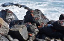 Zdjęcia z Galapagos 