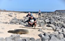 Zdjęcia z Galapagos 