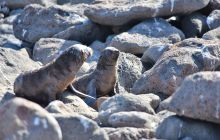 Zdjęcia z Galapagos 