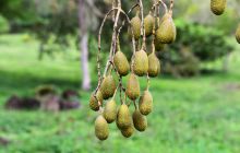 Zdjęcia z Galapagos 