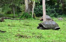 Zdjęcia z Galapagos 