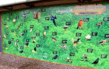 Zdjęcia z Galapagos 