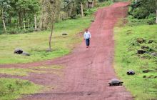 Zdjęcia z Galapagos 