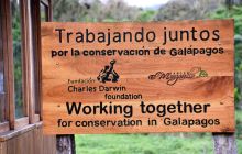 Zdjęcia z Galapagos 