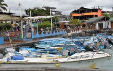 Zdjęcia z Galapagos 