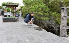 Zdjęcia z Galapagos 