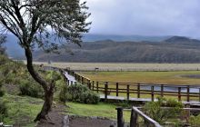 Zdjęcia z Galapagos 