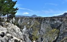 Zdjęcia z Galapagos 