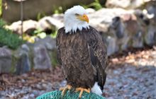 Zdjęcia z Galapagos 