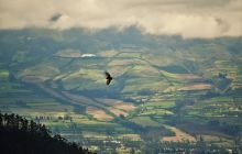 Zdjęcia z Galapagos 