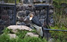 Zdjęcia z Galapagos 