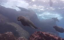 Zdjęcia z Galapagos 