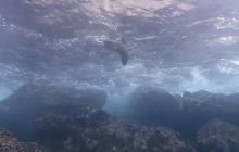 Zdjęcia z Galapagos 