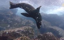 Zdjęcia z Galapagos 