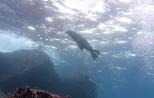 Zdjęcia z Galapagos 