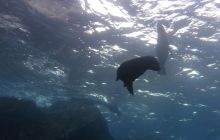 Zdjęcia z Galapagos 