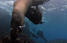 Zdjęcia z Galapagos 