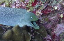 Zdjęcia z Galapagos 