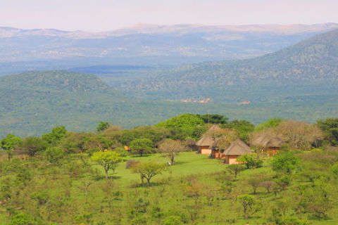 Nurkowanie Sardine Run i <span>Aliwal Shoal</span>