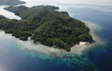 Zdjęcia z Raja Ampat