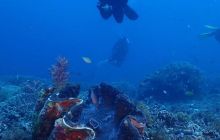 Zdjęcia z Raja Ampat