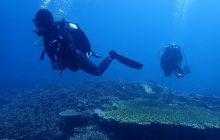 Zdjęcia z Raja Ampat