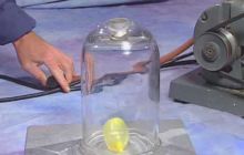 Zaawansowane szkolenie wiedzy nurkowej