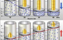 Zaawansowane szkolenie wiedzy nurkowej