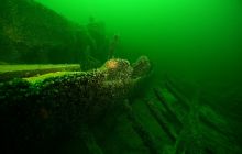 Nurkowanie wrakowe Junkers i Betonowiec 