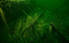 Nurkowanie wrakowe Junkers i Betonowiec 