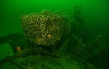 Nurkowanie wrakowe Junkers i Betonowiec 