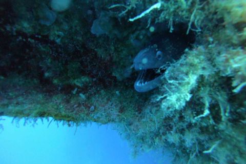 Cypr, Wrak Zenobia, Larnaca 