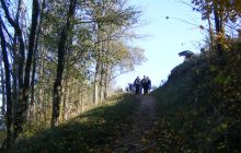 Wyjazd nurkowy nad jezioro Hańcza